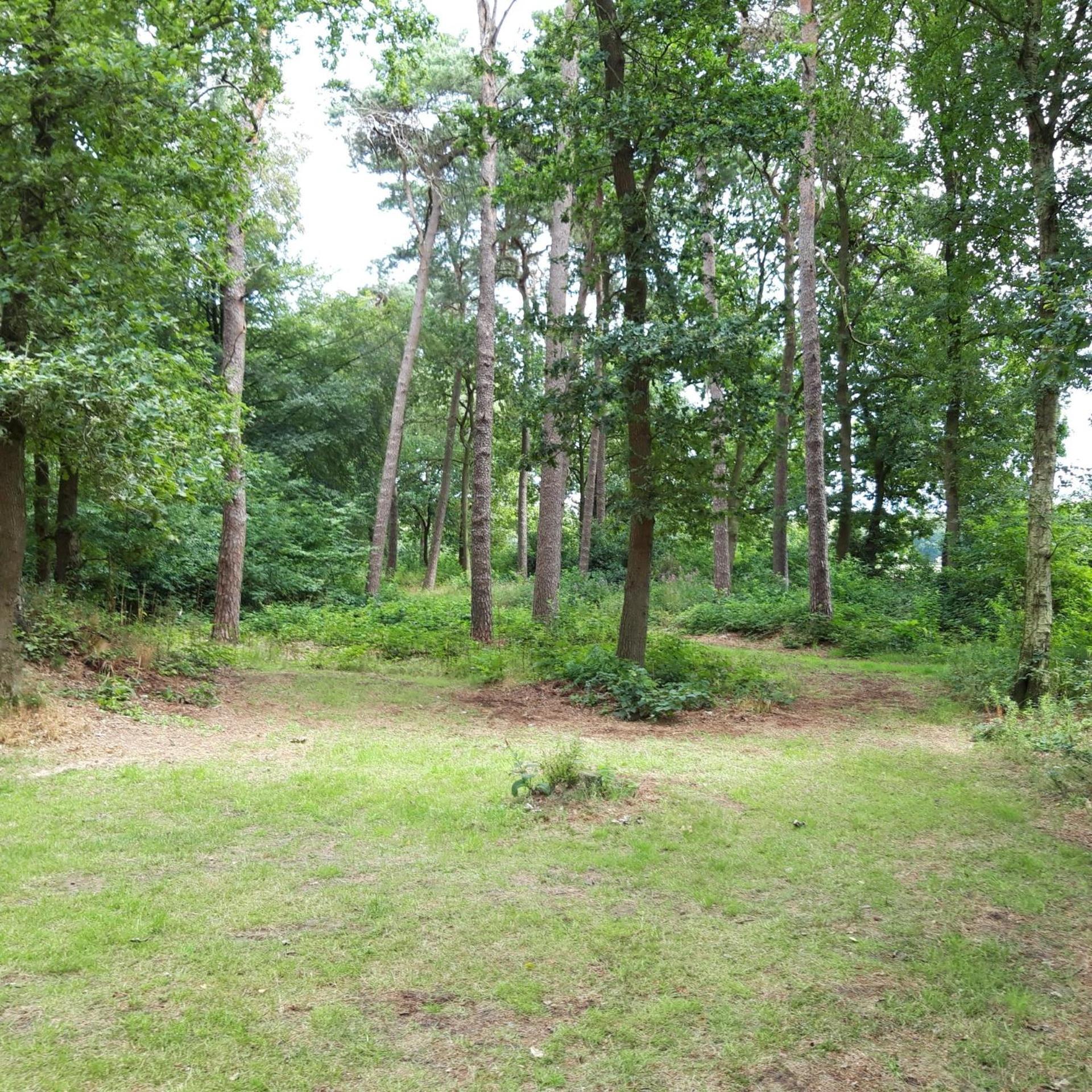 Vakantiehuis Op Top Locatie #Ommen Exterior photo