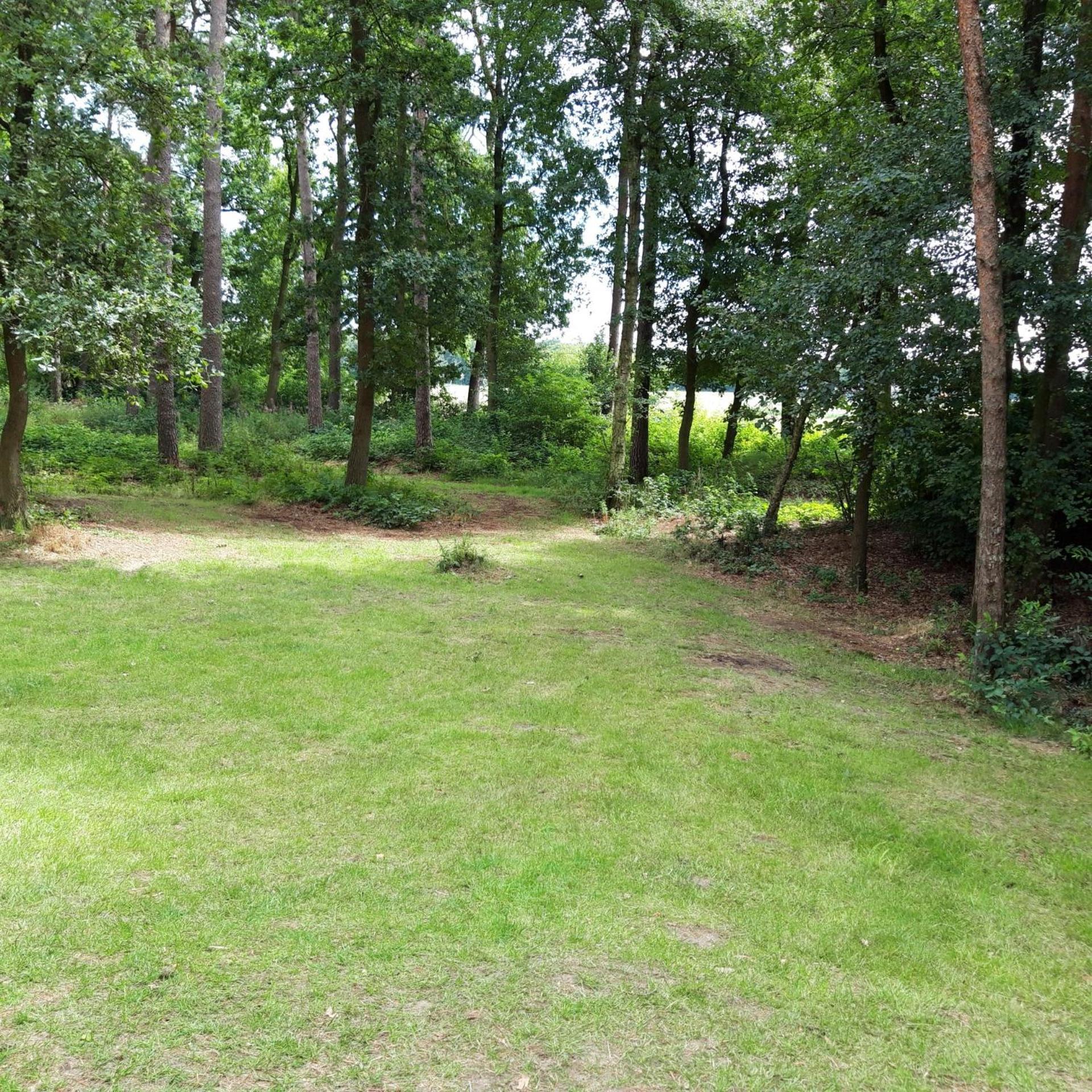 Vakantiehuis Op Top Locatie #Ommen Exterior photo